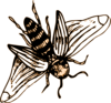 Bee Drawing Clip Art